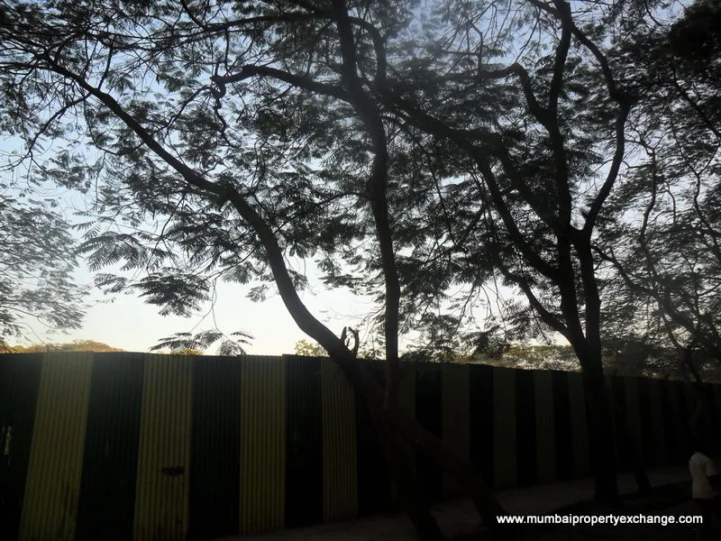 2 BHK Flats for Sale in Spring Grove, Kandivali East