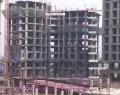 Site Status