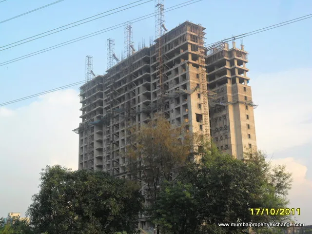 17th Oct 2011