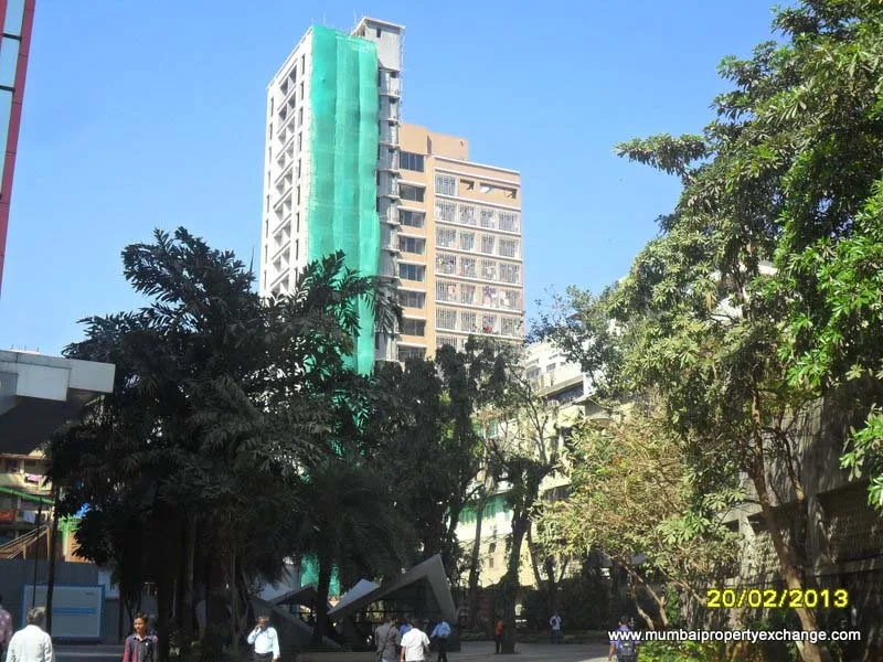 20 Feb 2013