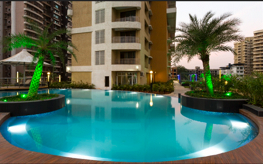 Sai Crystal  Image-6