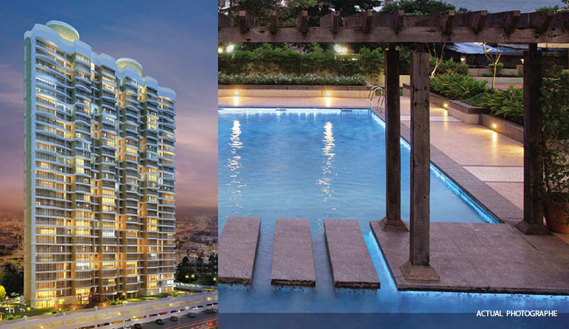 Sai Crystal  Image-9