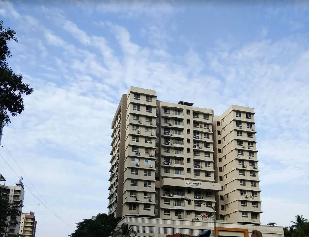 Lily White Elevation Image