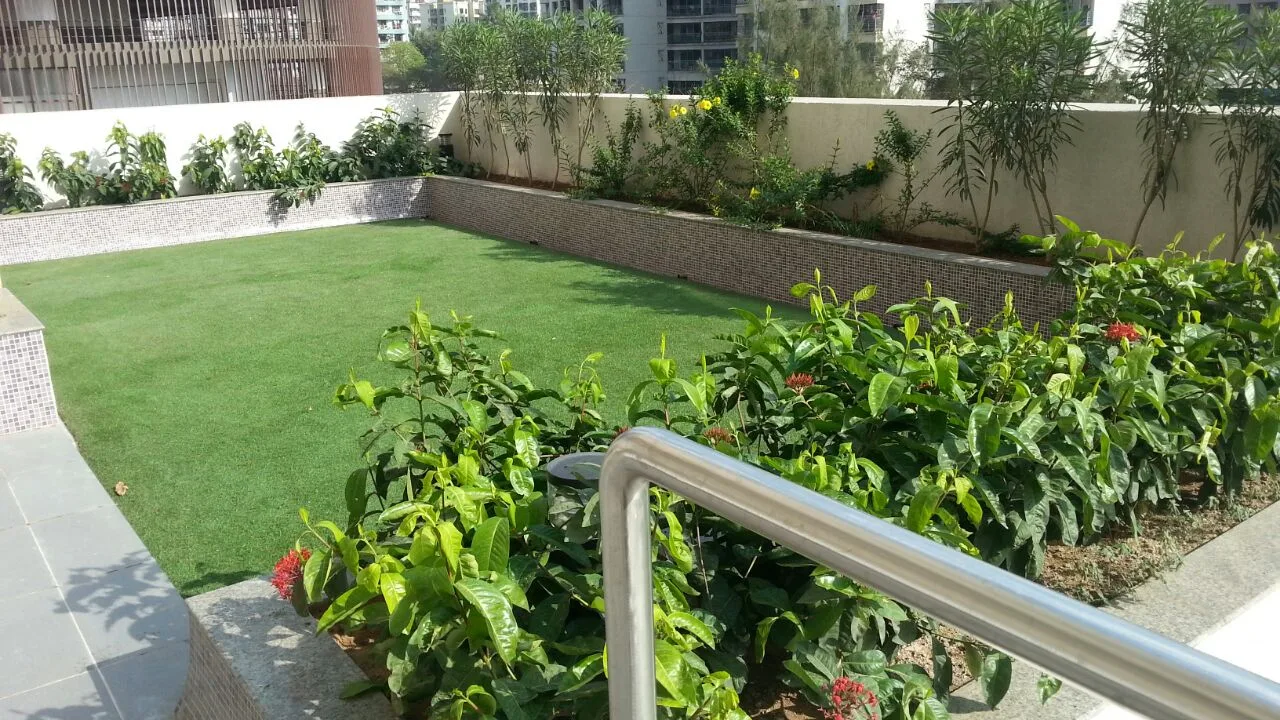 Lily White Landscape