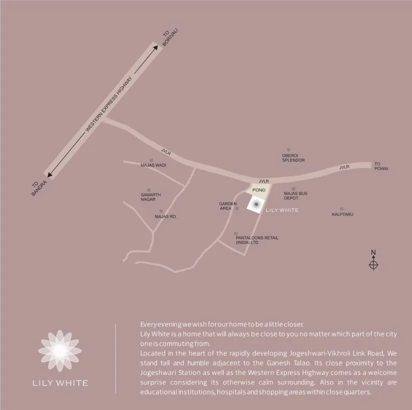 Lily White Location Connectivity