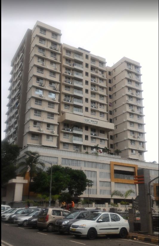 Lily White Elevation Image