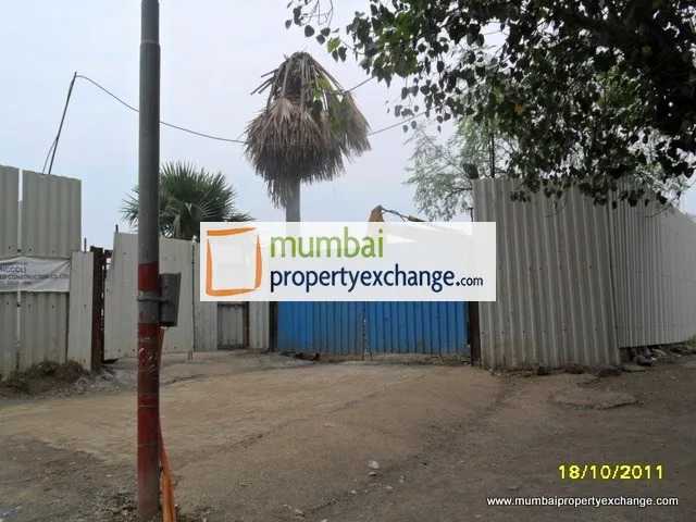 17th Oct 2011