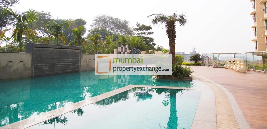 23rd Jan 2016 Swimming Pool