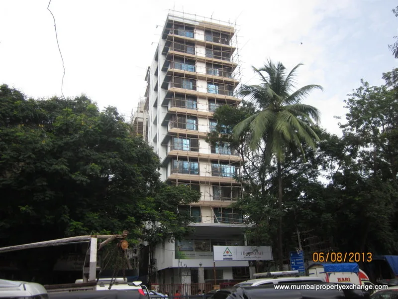 15 Aug 2013