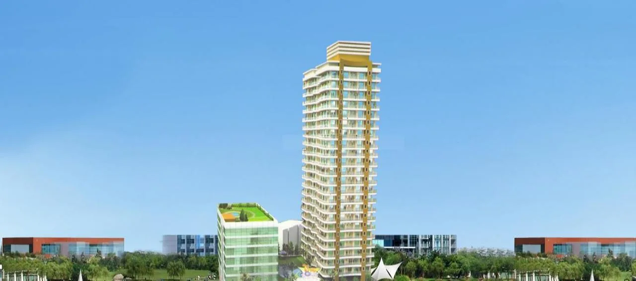 Main Image