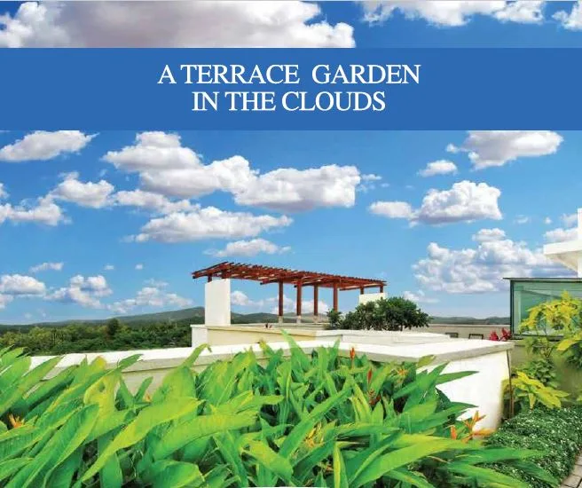 Hillcrest Terrace Garden Actual Image