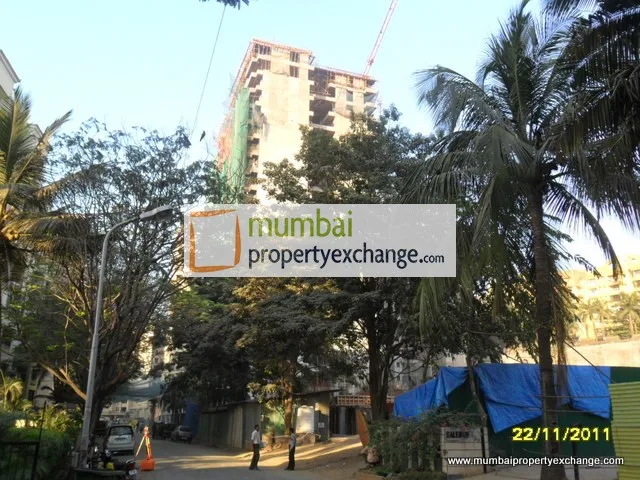 Buliding Status Nov 11