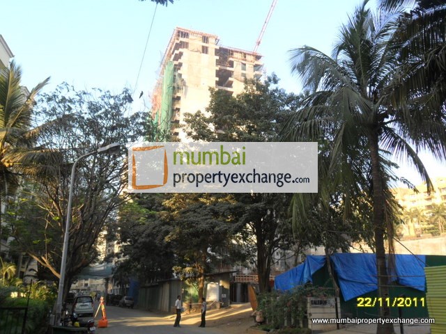 Buliding Status Nov 11