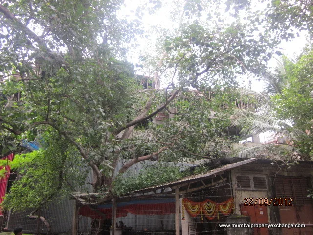20 Sep 2012