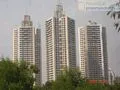 11 June 2009