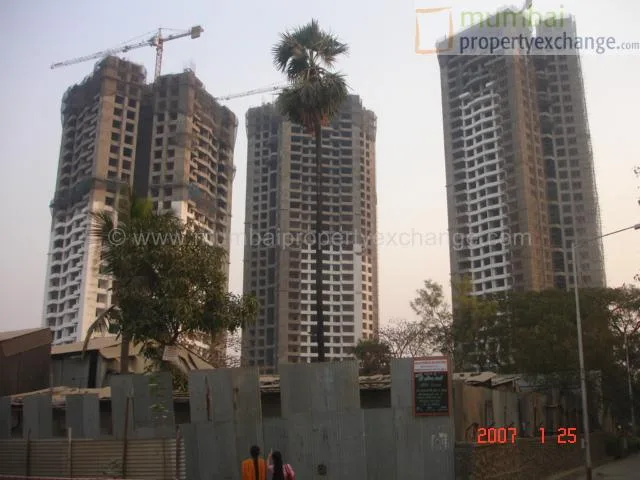 21 January 2007