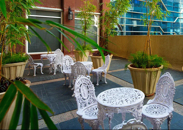 Sai Mannat Senior Citizen Sit Out