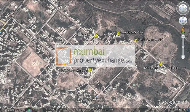 Google Earth