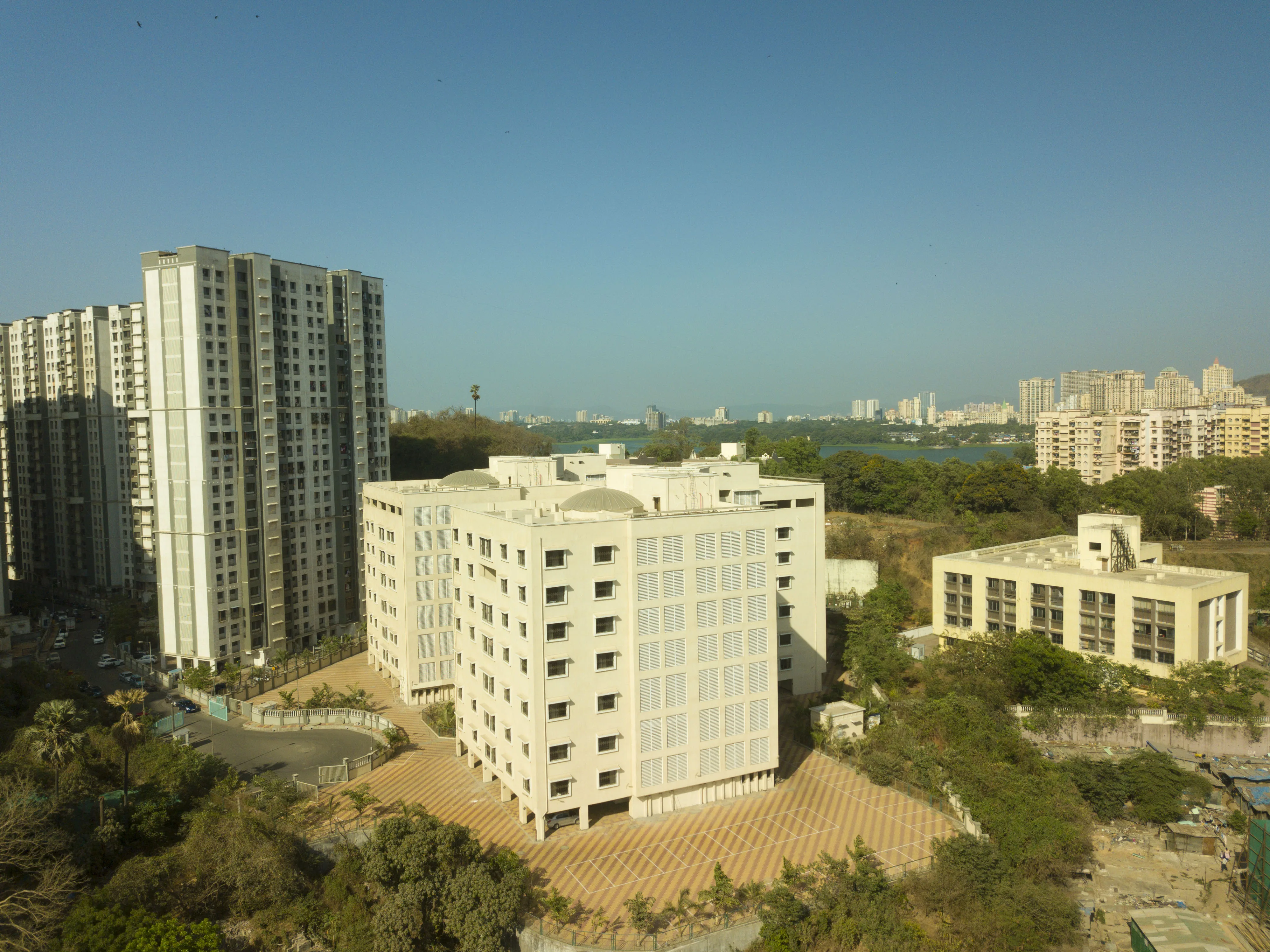 Blue Fortuna Image-2