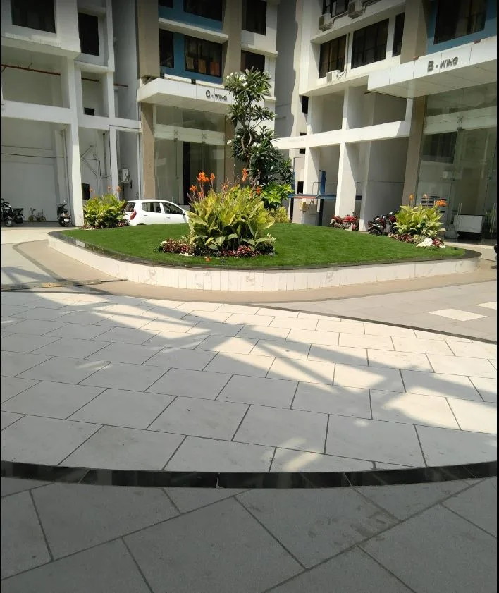 Blue Fortuna Image-7