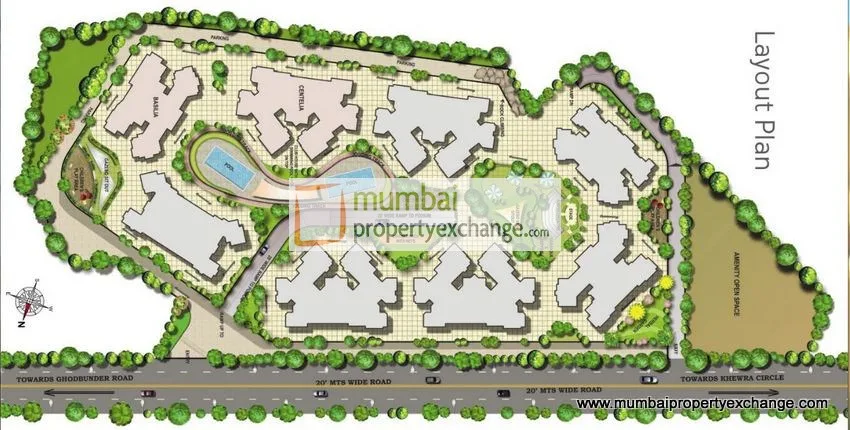 Layout