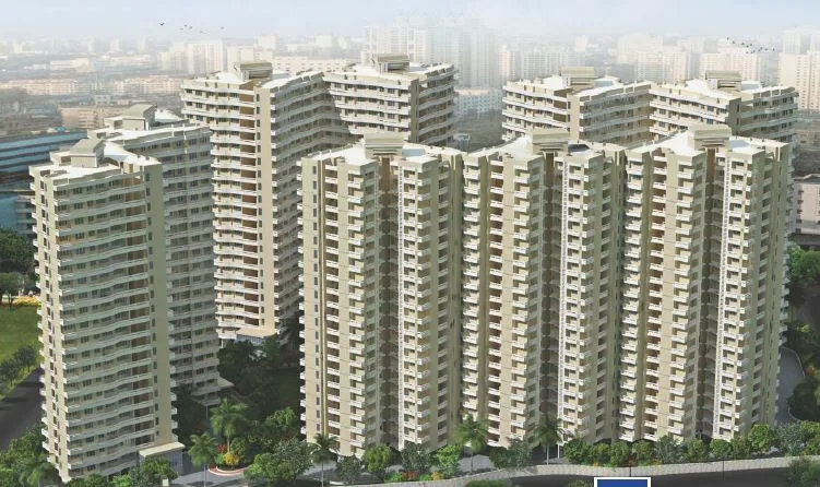 Main Image