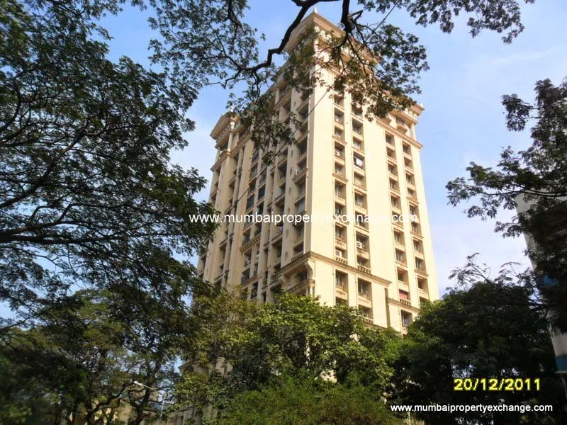 17th Dec 2011 — photo 10