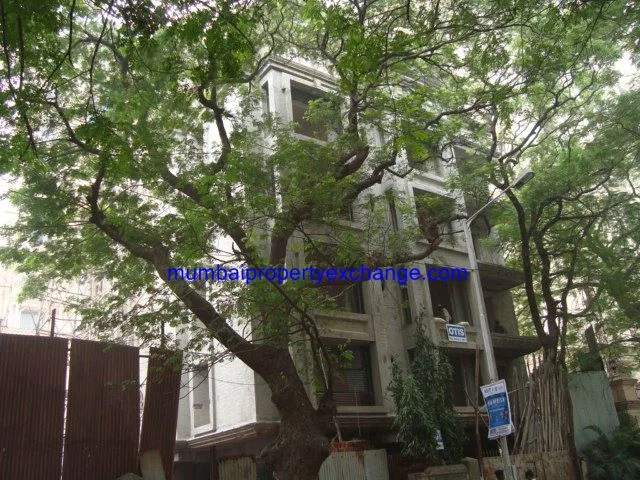 7 Oct 2008 — photo 8