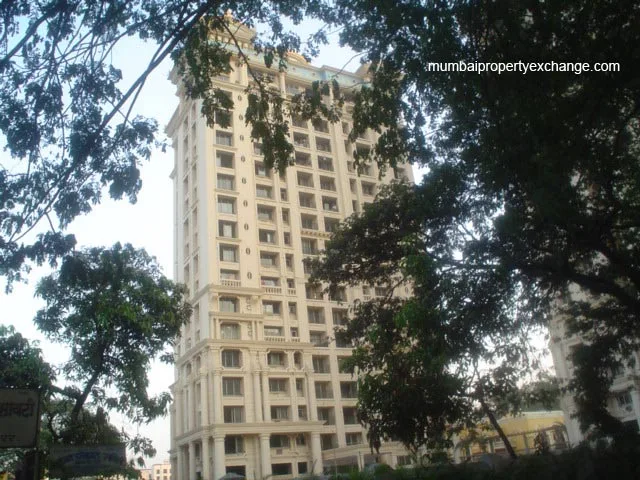 9 Nov 2005 — photo 3