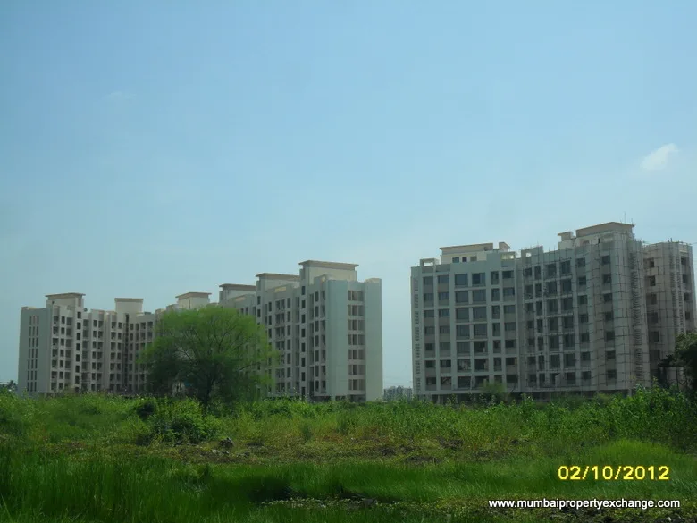 Rajhans Season gallery