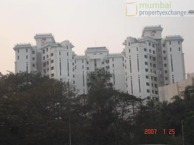 21 January 2007