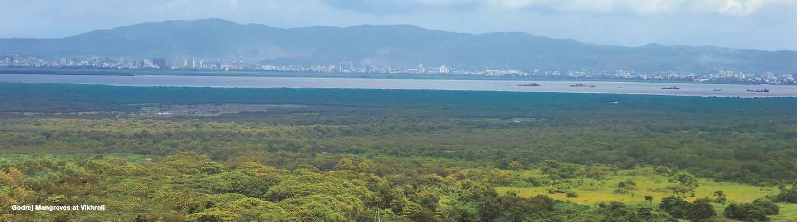 View from site