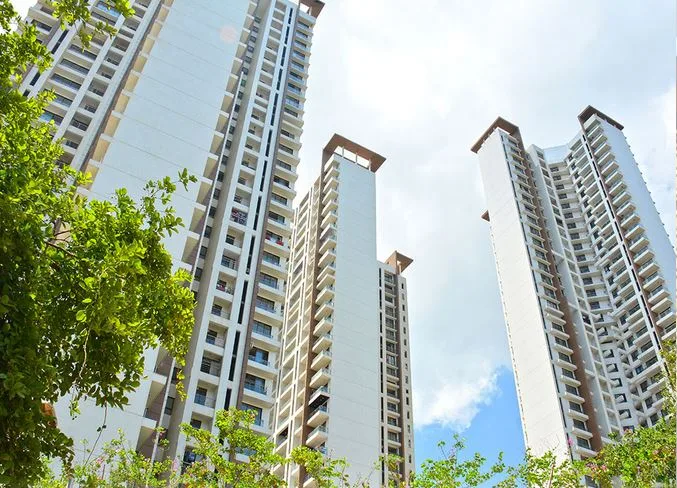 Runwal Anthurium Image6