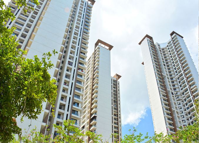 Runwal Anthurium Image6