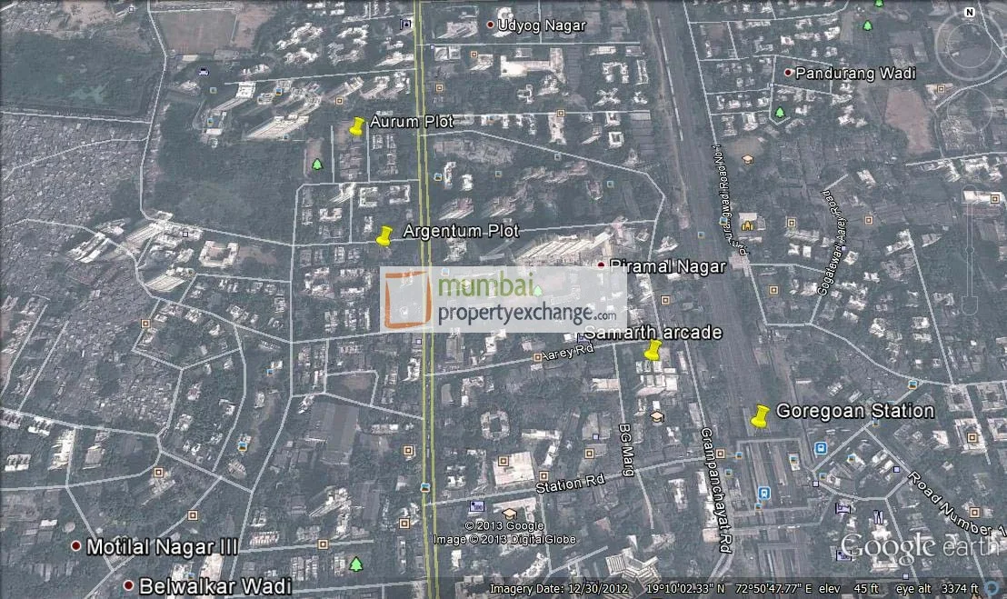 Google Earth