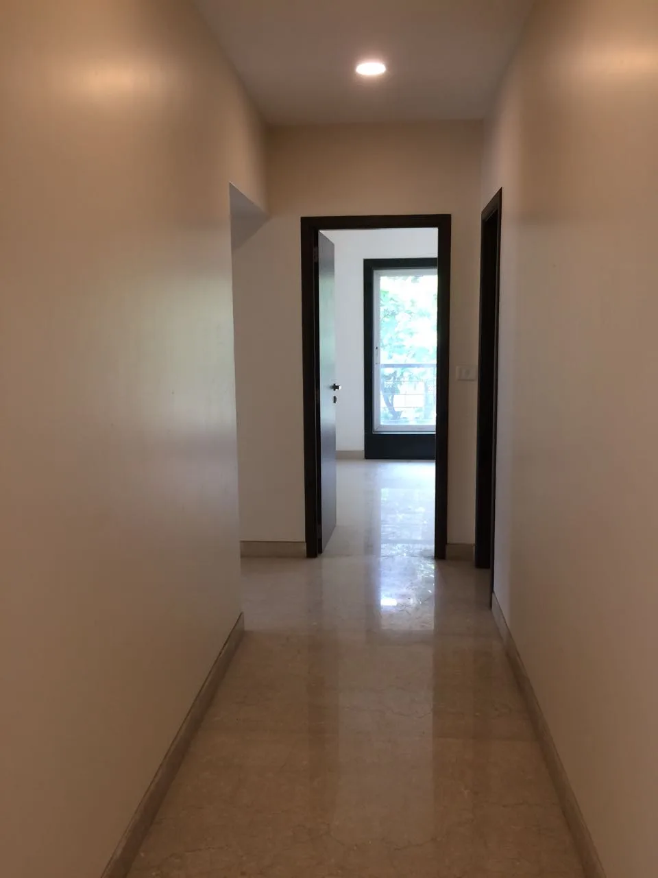 Show Flat - 2