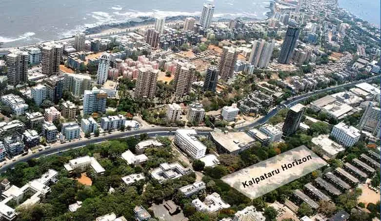 Ariel View