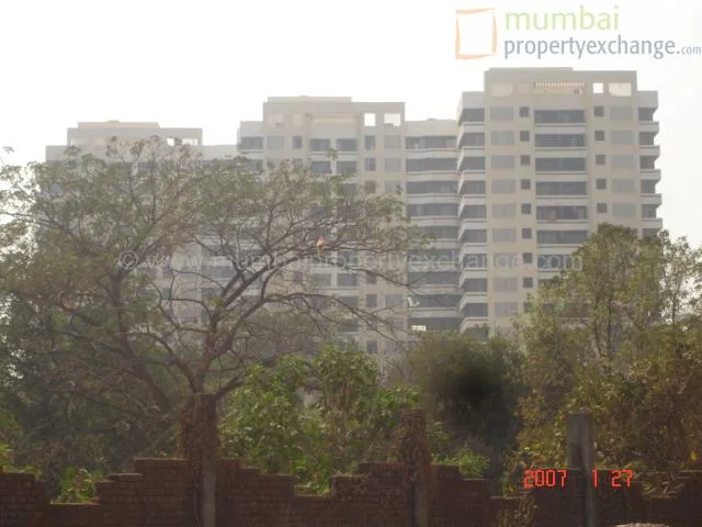 21 January 2007
