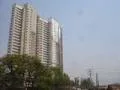 11 Feb 2009