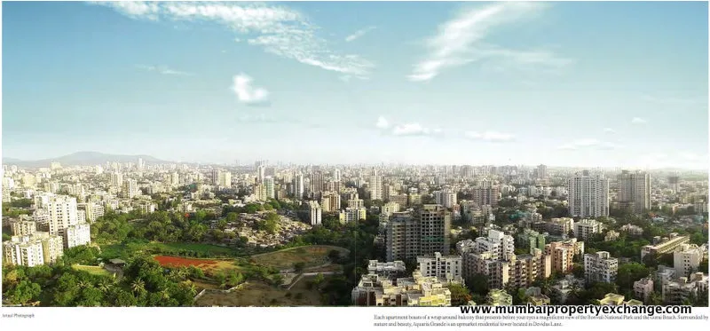 View from Project