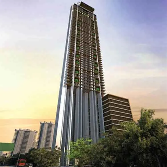 Main Image