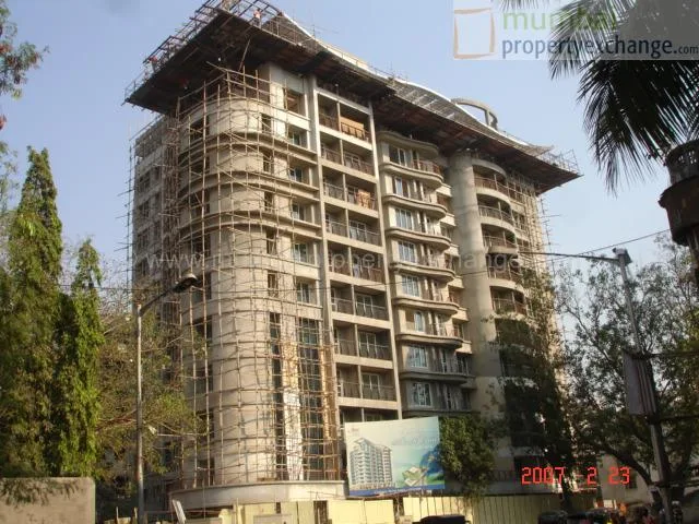 15 March 2007