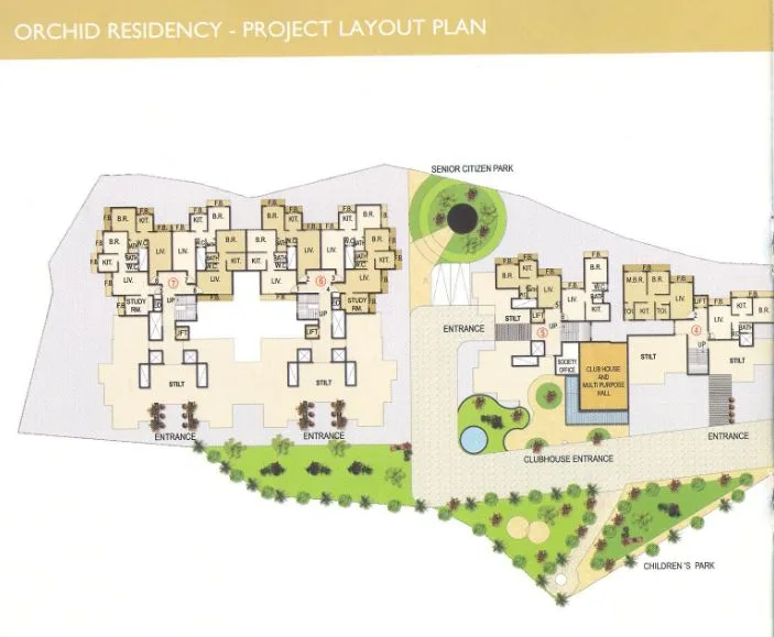 Layout