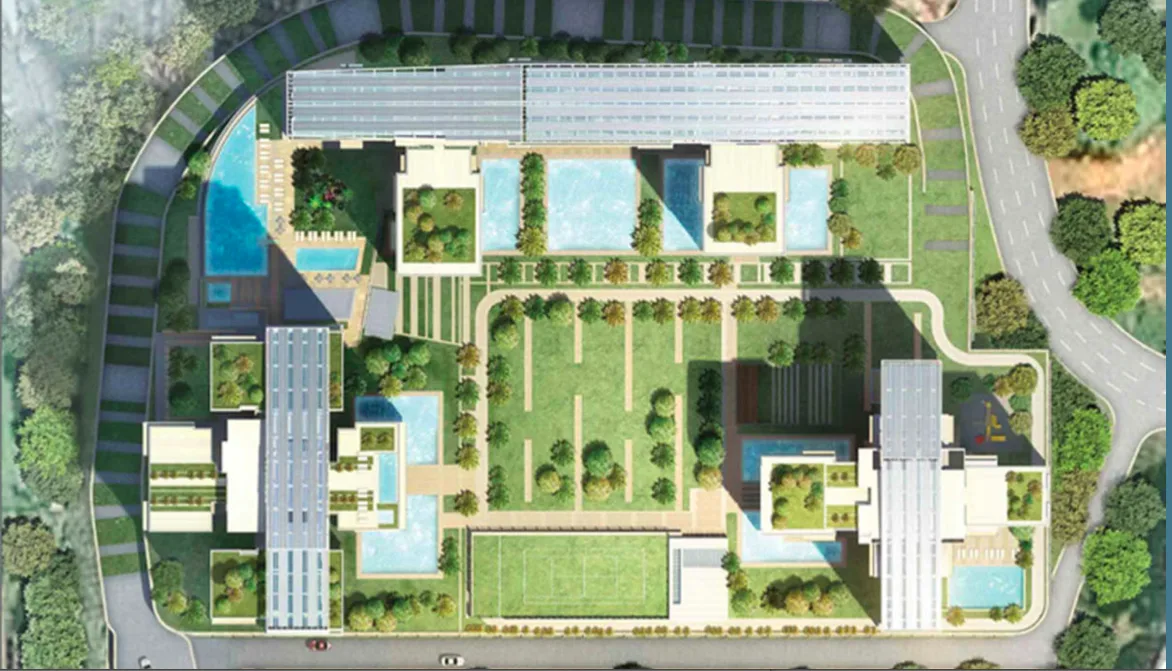 Lay Out Plans