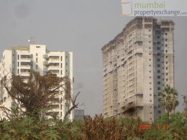 21 January 2007
