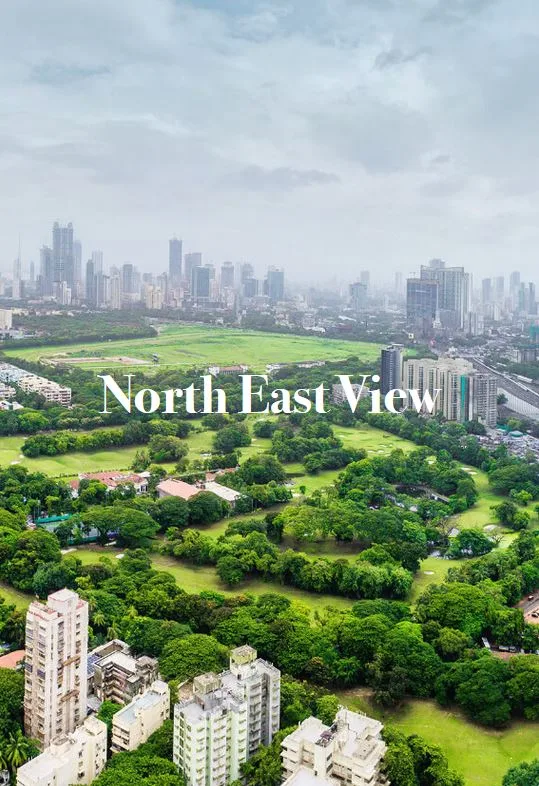 North East View from Imperial Edge