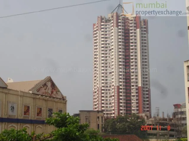 8 Nov 2007