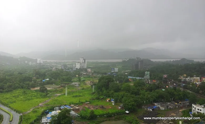 View 30th July 14