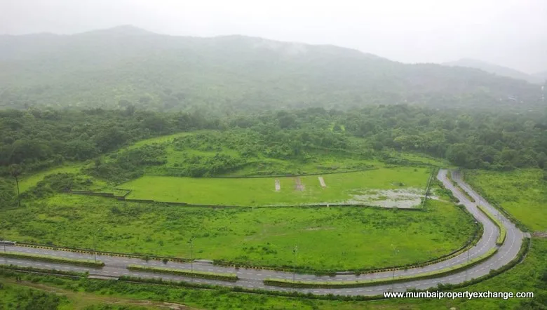 View 30th July 14