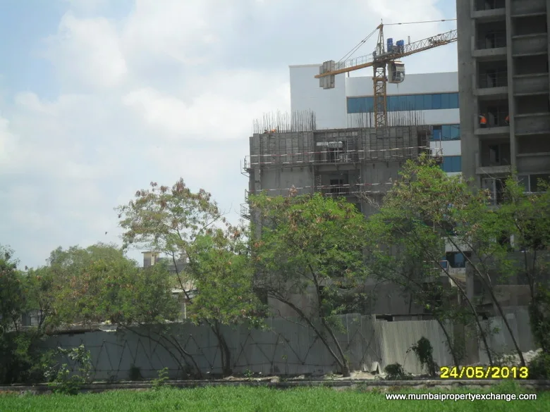 24 May 2013